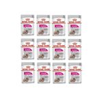 Royal Canin Mini Exigent 6x85 gr Köpek Yaş Mama