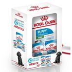Royal Canin Mini Puppy Bundle Küçük Irk 2 kg Yavru Köpek Maması + Pouch 85 gr 2 Adet Yaş Mama