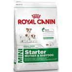 Royal Canin Mini Starter Mini Irk Hamile Emziren Anneler ve Onların Yavruları için 3 kg Köpek Maması