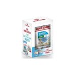 Royal Canin Mini Starter Mother & Babydog 3Kg + 2 Adet Starter Konserve 195 Gr