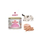 Royal Canin Mother And Babycat Ultra Soft Mousse Yaş Anne Yavru 4x195 gr Kedi Maması