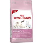 Royal Canin Mother-Baby Cat 34 2 kg İstiridye Tatlı Premium Kalite Anne ve Yavru Kedi Maması