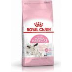 Royal Canin Mother & Babycat 4 kg Karışık Tatlı Kedi Maması, Sağlıklı Vücut Gelişimi Destekler