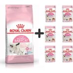 Royal Canin Mother Babycat 4 kg Yavru Kuru Kedi Maması + 6 Adet Yaş Mama