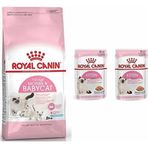 Royal Canin Mother Babycat Yavru 4 kg Kuru Kedi Maması + 2 Adet Kitten Pouch Yaş Mama