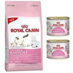 Royal Canin Mother&Baby Yavru Kedi Maması 2 kg + Original 2 Adet 195 gr Yavru Konserve