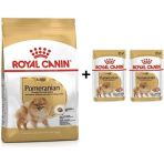 Royal Canin Pomeranian 1,5 kg Yetişkin Köpek Maması + 2 Adet Hediye Yaş Mama