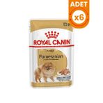 Royal Canin Pomeranian Adult Pouch 6x85 gr Konserve Köpek Maması