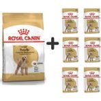 Royal Canin Poodle Adult 3 kg Köpek Maması + 6 Adet Yaş Mama