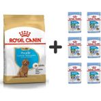 Royal Canin Poodle Puppy 3 kg Köpek Maması + 6 Adet Yaş Mama