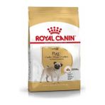 Royal Canin Pug Adult Yetişkin Köpek Maması 1.5 kg - Tek Ebat