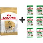 Royal Canin Pug Irkı Özel 1.5 kg Köpek Maması + 6 Adet Yaş Mama