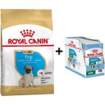 Royal Canin Pug Junior 1.5 kg Yavru Köpek Maması + 12 Adet Yaş Mama