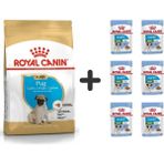 Royal Canin Pug Junior 1.5 kg Yavru Köpek Maması + 6 Adet Yaş Mama