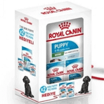 Royal Canin Puppy Bundle Mini Starter 2 kg Yavru Köpek Maması + 2 Adet Mini Starter Hediyeli Konserve
