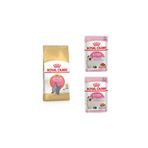 Royal Canin RCS135 British Shorthair Yavru Kedi Maması 2 Kg + 2 Adet Kitten Pouch Yaş Mama 85gr