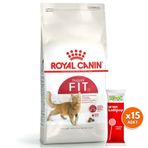 Royal Canin Regular Fit Yetişkin Kedi Maması 15 Kg + 15 Adet Wooc Lolipop Ödül