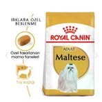 ROYAL CANIN Royal Canin Maltese Terrier Yetişkin Köpek Maması 1,5kg