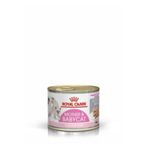 Royal Canin Royal Canın Mother And Babycat Ultra Soft Mousse 6 Adet X 195 Gr Konserve Yaş Kedi Maması