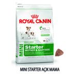 Royal Canin Small Dogs Mini Starter Mother Babydog 1 kg Yavru Köpek Maması