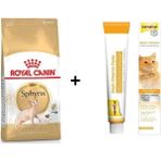 Royal Canin Sphynx 2 kg Yetişkin Kedi Maması + Gimcat 100 gr Multivitamin