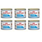 Royal Canin Starter Mousse 6x195 gr Yavru Köpek Konserve