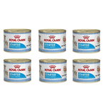 Royal Canin Starter Mousse Anne ve 6x185 gr Yavru Köpek Konservesi