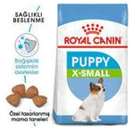 Royal Canin Xsmall Puppy Minyatür Yavru 1,5 kg Köpek Maması
