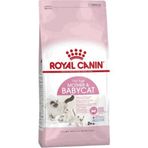 Royal Canin Yavru Açık 2 kg Kedi Maması