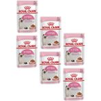 Royal Canin Yavru Kedi Konservesi Gravy Pouch Tavuk 85 gr (6 Adet) Besleyici Yaş Mama