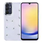Royal Cover Samsung Galaxy A25 Kılıf Şeffaf Yapılı Sert Mini 3D Figürlü Şık Silikon Kapak Rcv/Kutup