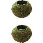 Royal Love 2- Yaratıcı Moss Ball Pot Ekici Ev Bahçe Dekoru 9cm (Yurt Dışından)