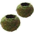 Royal Love 2x Yosun Örgü Topu Şekli 12 ve 9cm Saksı Etli Ekici Sepet Yeşil (Yurt Dışından)