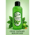 ROYAL ROSE Ceviz Yaprağı Kolonyası