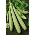 Royaleks 10 gr Acur Tohumu