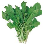 Royaleks 10 gr Tere Tohumu