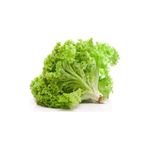 Royaleks 10 gr Yazlık Kıvırcık Marul Tohumu