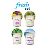 Royaleks 4 Adet Doğal Özel Seri Kokulu Dekoratif Kavanoz Mum 4X210 cc - Fresh Set - RYL