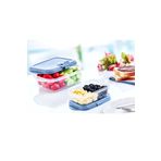 Royaleks Group Bas Aç Push Up Dikdörtgen Saklama Kabı 0,4 Lt 10,5 X 16,7 X 4,8 Cm Royaleks-81925