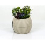 Royaleks Mercan Saksı 11.5X12 cm 0.70 Lt Mariposa Secret - Renkli