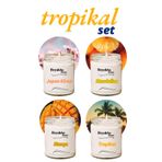 Royaleks RT-RYL-HMR24466 4 Adet Doğal Özel Seri Kokulu Dekoratif Kavanoz Mum 4X210 Cc - Tropikal Set - Ryl