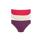 Royaleks S85 3 Adet Önü Dantelli Transparan Kadın Slip Külot