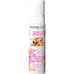 Royalist 200 ml Pudra Kokulu Yavru Köpekler İçin Köpük Şampuan