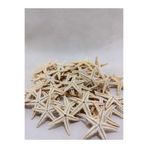 Royall Craft 25 adet Gerçek Deniz Yıldızı – Naturel 1-3 cm - Dekor, Hobi, Teraryum,