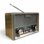 Royaltrend RT568 Mini Solar Güneş Panelli Nostalji Radyo