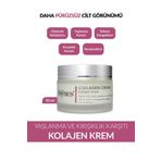 Royues Kolajen Krem, Nemlendirici, Yaşlanma Karşıtı Peptid Cilt Bakım Kremi, Collagen Cream 50 Ml