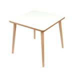 ROZİTOYS Montessori Çocuk Aktivite Masası Çalışma Masası, Ahşap Oyun Boyama Etkinlik Alanı, Unisex Çocuk Odası İçin, 50 x 50 cm (Sadece Masa)