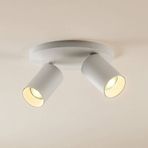 Rsylight Metal Modern Spor 2 Li Beyaz Mafsallı Led Spot Avize Günışığı Ampullü beyaz