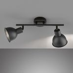 Rsylight Retro Rustik Metal 180 Derece Hareketli Siyah 2 Li Spot Avize Siyah