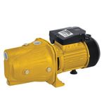 RTRMAX RTM875 1100 W 1.5 HP Su Pompası